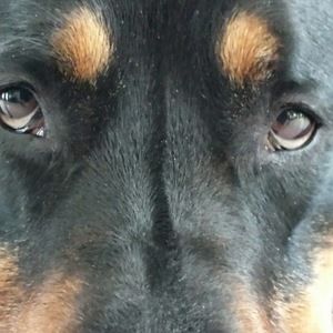 Meet your Posher, Lukas